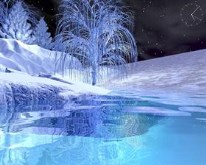 Winter Screensaver