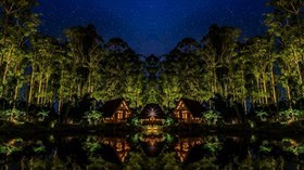 Island Nights