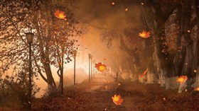 Strange Autumn