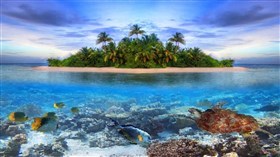 Island Waters