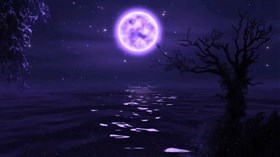 Purple Night