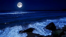 Moonlight Sea
