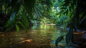 4K Sri Lanka Stream