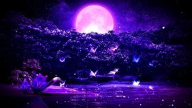 Moon Pond
