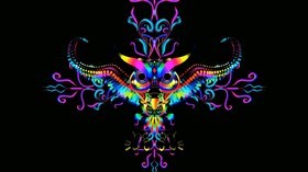 4K Colorful Owl