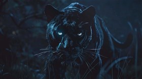 4K Panther