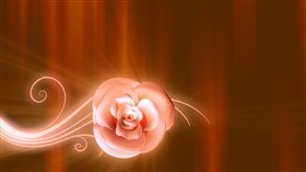 Pink Roses Mothers Day