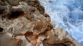 Crab Rock