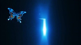 3D Butterfly II