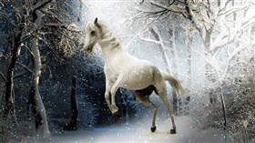 Horse Play