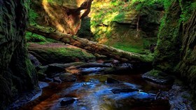Finnich Gorge, Scotland