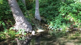 Stream Falls