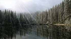 Snow Beams