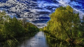 Scenic Nature