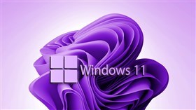 Win11 Vlet