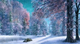 4K Forest Winter