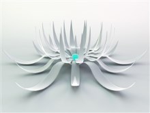 white flower 2