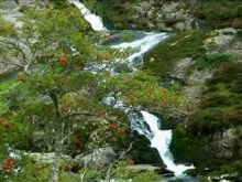 Ogwen falls3