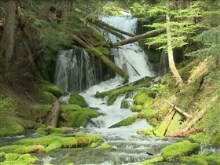 spring creek