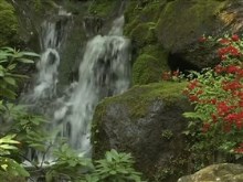 mossy rocks gardenfalls