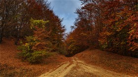 Convergence (UHD)