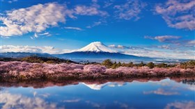 Love for Fuji