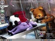 Bearly Science