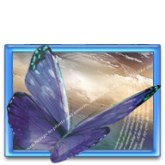 Adobe Indesign 2.0
