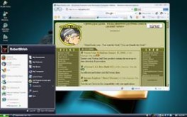 IE 7 and Vista