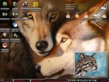 two wolfs and a cat