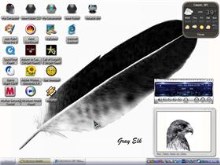 black feather 2