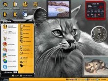 yum cat