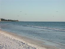 Beach Vista