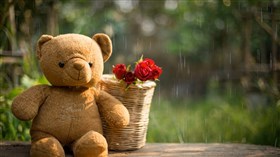 Cute Teddy