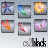 cs2 black