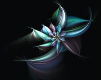 Winters Bloom