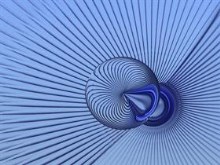 BlueLoonie