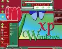Tulip XP