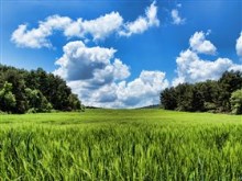 Spring Fields in Spain