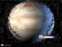 Rose world